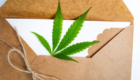 Betäubungsmitteldelikt – Sicherstellung einer Postsendung mit Betäubungsmitteln