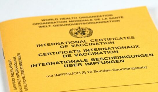 Vorlage eines gefälschten Impfbuches – Urkundenfälschung