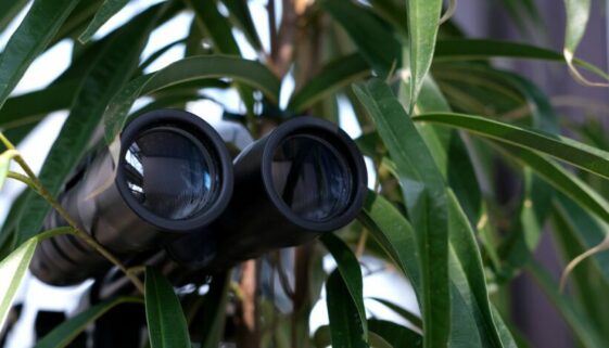 Längerfristige Observation -  Zufallserkenntnis – Verwertbarkeit