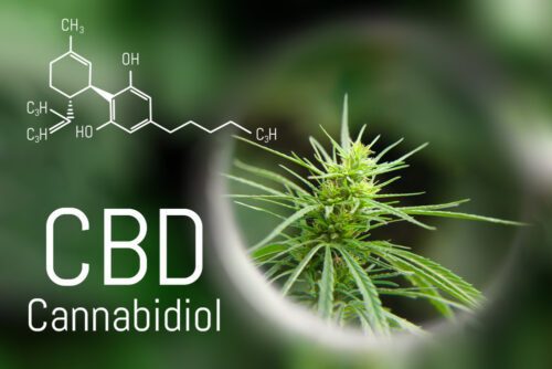 Cannabidiol