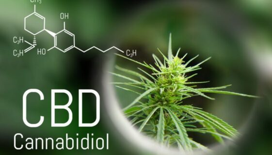 Cannabidiol Cannabidiol