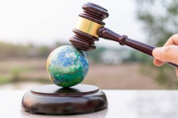 Strafbarkeit von Umweltstraftaten: Wenn Umweltschutz und Strafgesetzbuch aufeinandertreffen