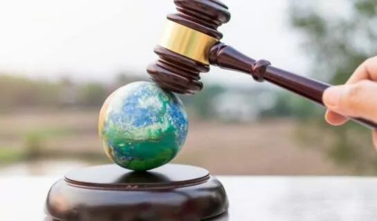 Strafbarkeit von Umweltstraftaten: Wenn Umweltschutz und Strafgesetzbuch aufeinandertreffen