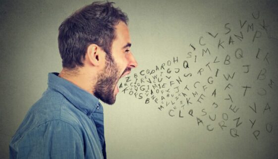 Beamtenbeleidigung als Wichser und Schwuchtel