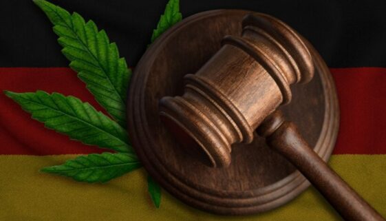 Flag,Of,Germany,And,Justice,Wooden,Gavel,With,Cannabis,Leaf. Rechtliche Auseinandersetzung über vorzeitige Entlassung aus Cannabisdelikt-Haft
