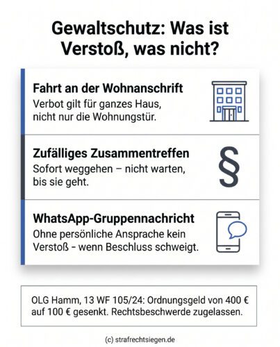 Infografik zu Gewaltschutz und Verstößen